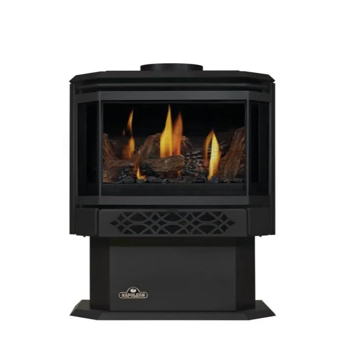 Napoleon Haliburton Direct Vent Gas Stove - Gas Stove by Napoleon | Buy at Agent BBQ