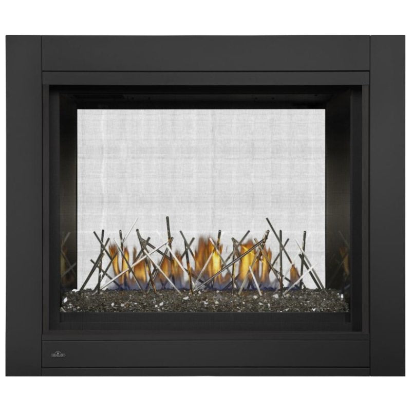 Napoleon Ascent Multi-Sided View/See Thru Direct Vent Gas Fireplace | BHD4