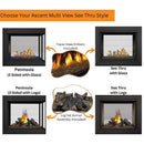 Napoleon Ascent Multi-Sided View/See Thru Direct Vent Gas Fireplace | BHD4