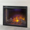 Napoleon Ascent 40'' Dual Voltage Built-In Electric Firebox Insert