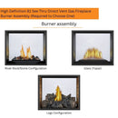 Napoleon High Definition 81 See Thru Direct Vent Gas Fireplace | HD81NT-1