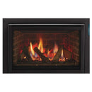 Majestic Ruby 25" Direct Vent Gas Insert | RUBY25