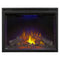 Napoleon Ascent 40'' Dual Voltage Built-In Electric Firebox Insert