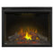 Napoleon Ascent 40'' Dual Voltage Built-In Electric Firebox Insert