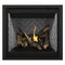 Napoleon Altitude 36" Direct Vent Gas Fireplace | A36 Napoleon