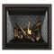 Napoleon Altitude 36" Direct Vent Gas Fireplace | A36 Napoleon