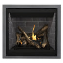 Napoleon Altitude 36" Direct Vent Gas Fireplace | A36 Napoleon