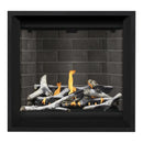Napoleon Altitude X 36" Direct Vent Gas Fireplace | AX36-1 Napoleon