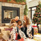 Napoleon Ascent Multi-Sided View/See Thru Direct Vent Gas Fireplace | BHD4 Napoleon