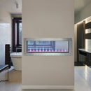 Napoleon Clearion Elite 50'' See Thru Electric Fireplace in Stainless Steel