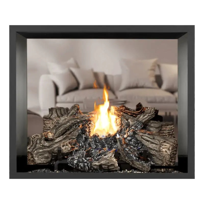 Napoleon High Definition 81 See Thru Direct Vent Gas Fireplace | HD81NT-1 Napoleon