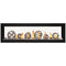 Napoleon Luxuria 62" See Thru Linear Direct Vent Gas Fireplace | LVX62N2X Napoleon
