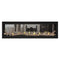 Napoleon Luxuria 62" See Thru Linear Direct Vent Gas Fireplace | LVX62N2X Napoleon