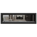 Napoleon Vector 50" See-Through Linear Direct Vent Gas Fireplace | LV50N2-2 Napoleon