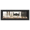 Napoleon Vector 50" See-Through Linear Direct Vent Gas Fireplace | LV50N2-2 Napoleon
