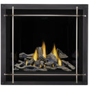 Napoleon Altitude X 36" Direct Vent Gas Fireplace | AX36-1