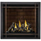 Napoleon Altitude X 36" Direct Vent Gas Fireplace | AX36-1