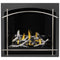 Napoleon Altitude X 36" Direct Vent Gas Fireplace | AX36-1