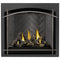 Napoleon Altitude X 36" Direct Vent Gas Fireplace | AX36-1