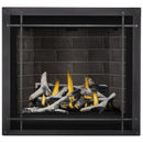 Napoleon Altitude X 36" Direct Vent Gas Fireplace | AX36-1