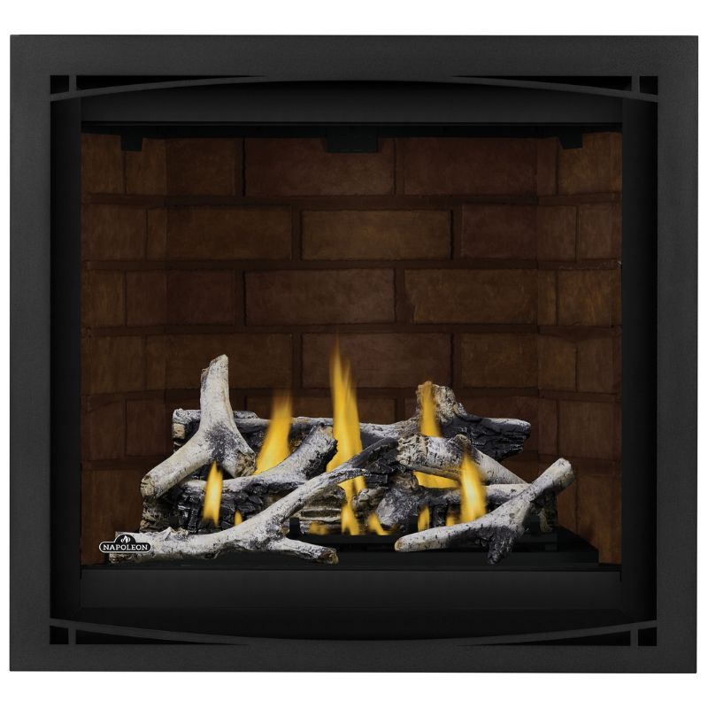 Napoleon Altitude X 36" Direct Vent Gas Fireplace | AX36-1