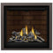 Napoleon Altitude X 36" Direct Vent Gas Fireplace | AX36-1