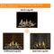 Napoleon Altitude X 42" Direct Vent Gas Fireplace | AX42-1