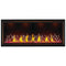 Napoleon Tall Vector 62" Linear Direct Vent Gas Fireplace | TLV62N