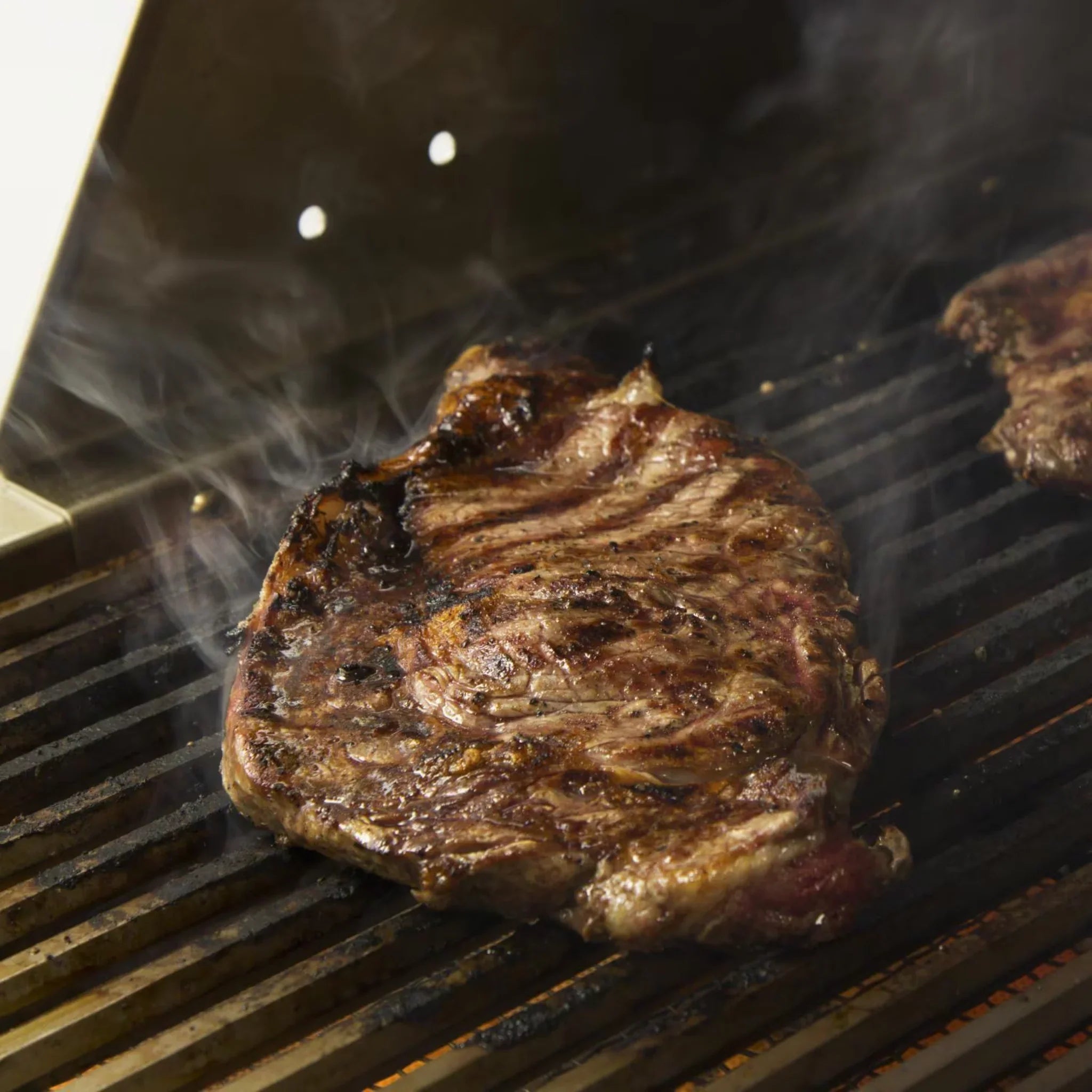 Blaze Professional LUX Infrared Searing Burner - BLZ - PRO - IR - by Blaze Grills | Buy at Agent BBQ