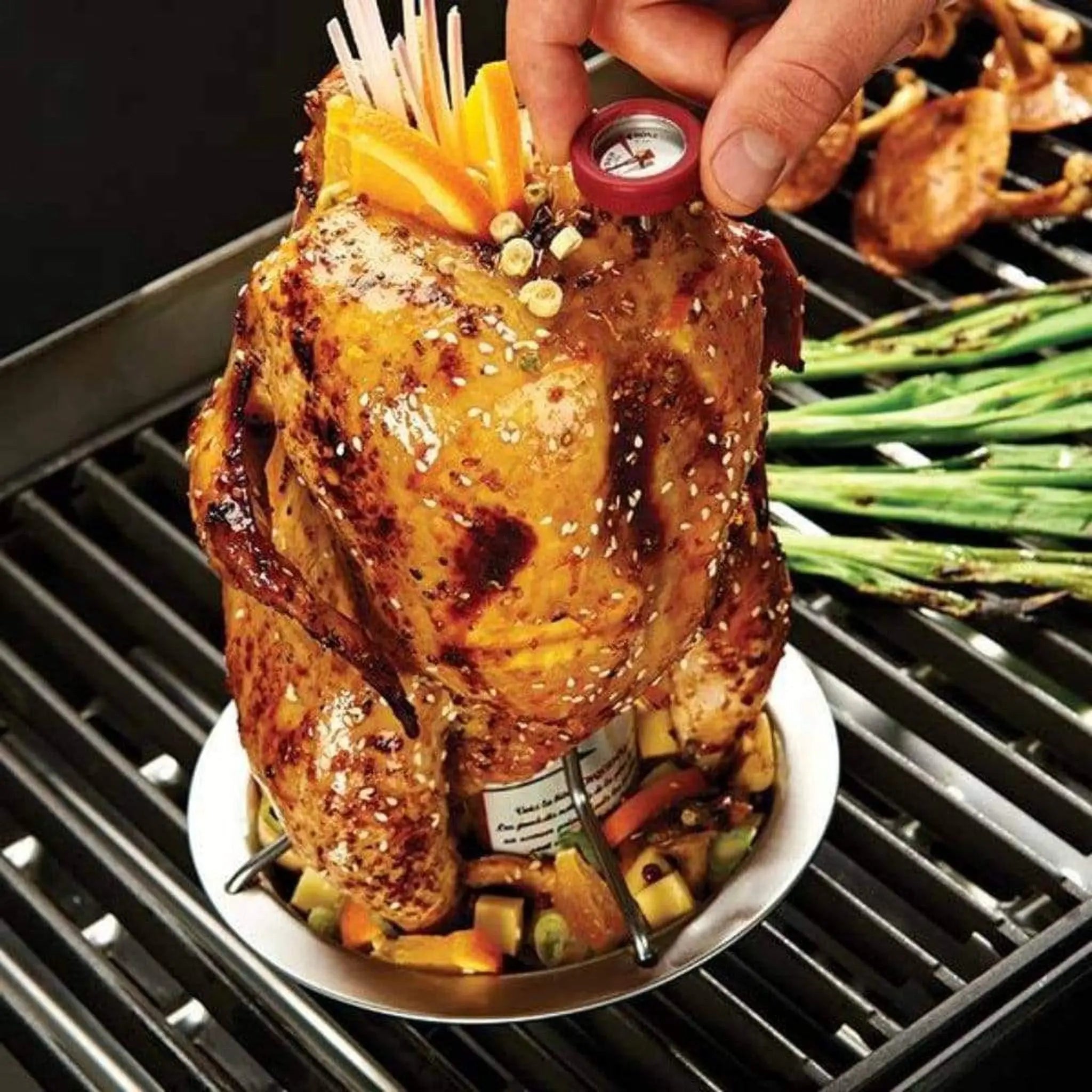 Broil King 8" Stainless Steel Chicken Roaster w/ Thermometer - by Broil King | Buy at Agent BBQ