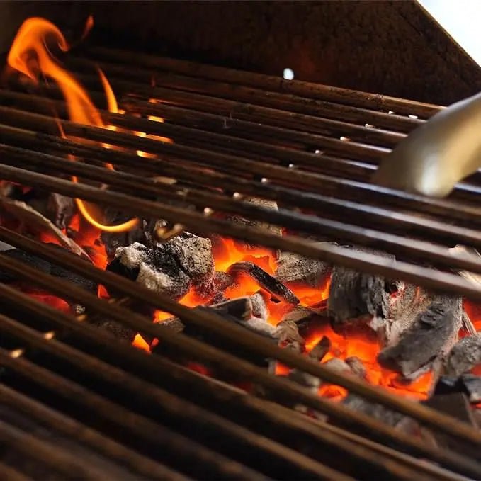 Lion Charcoal Tray For 32 And 40 - Inch Lion Gas Grills - L109673 - by Lion Premium Grills | Buy at Agent BBQ