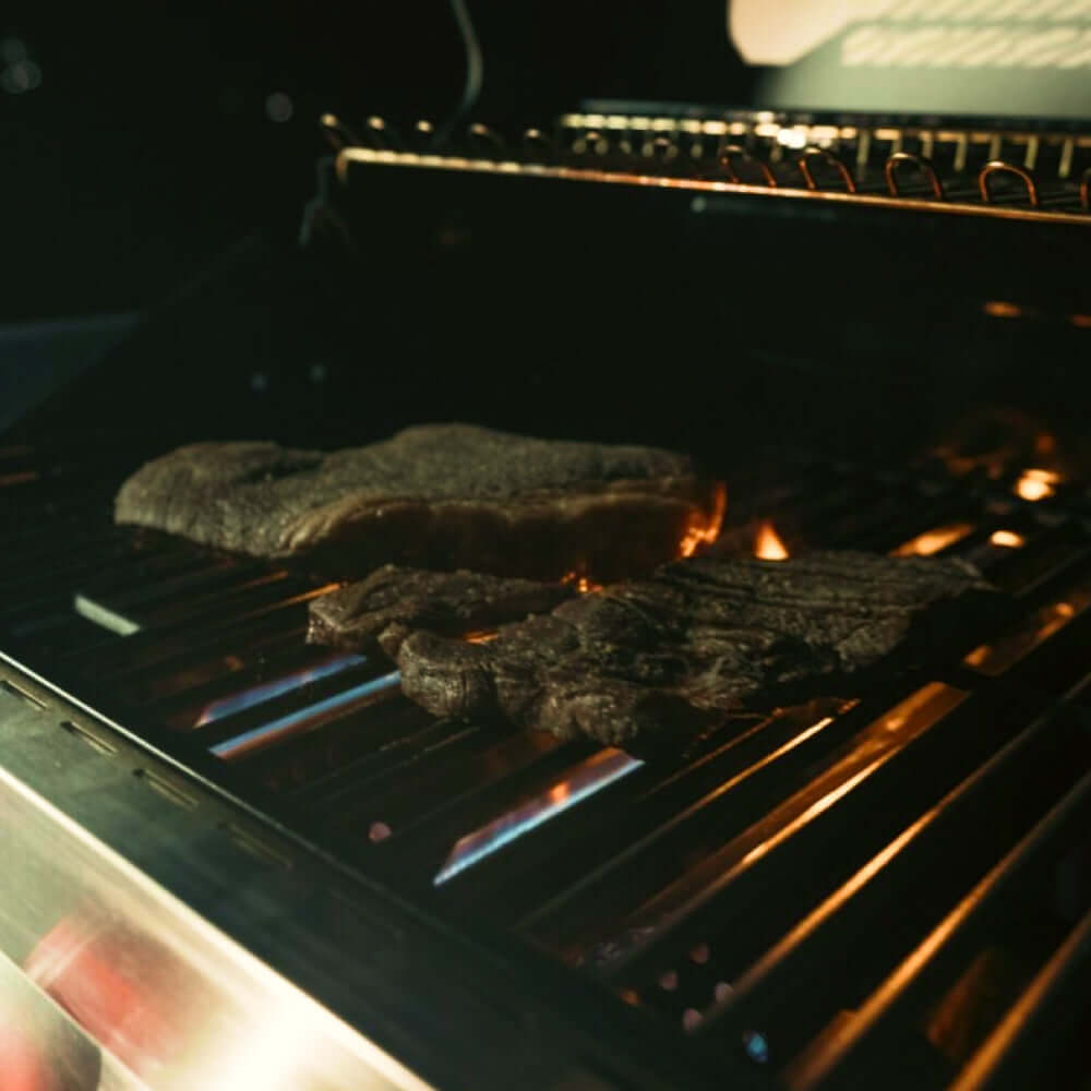 Monument Grills - Denali 605 - Stainless Smart Tech Natural/Propane Gas Grill - D605 - by Monument Grills | Buy at Agent BBQ
