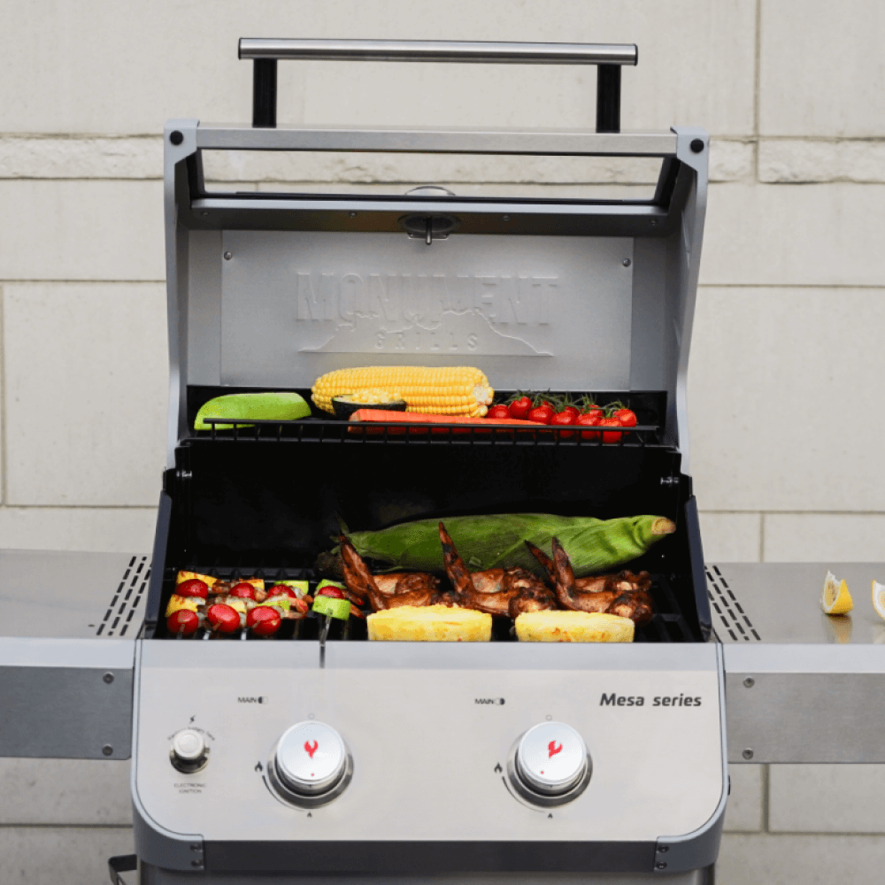 Monument Grills Mesa 200S - Foldable Stainless Gas Grill - M200S - by Monument Grills | Buy at Agent BBQ