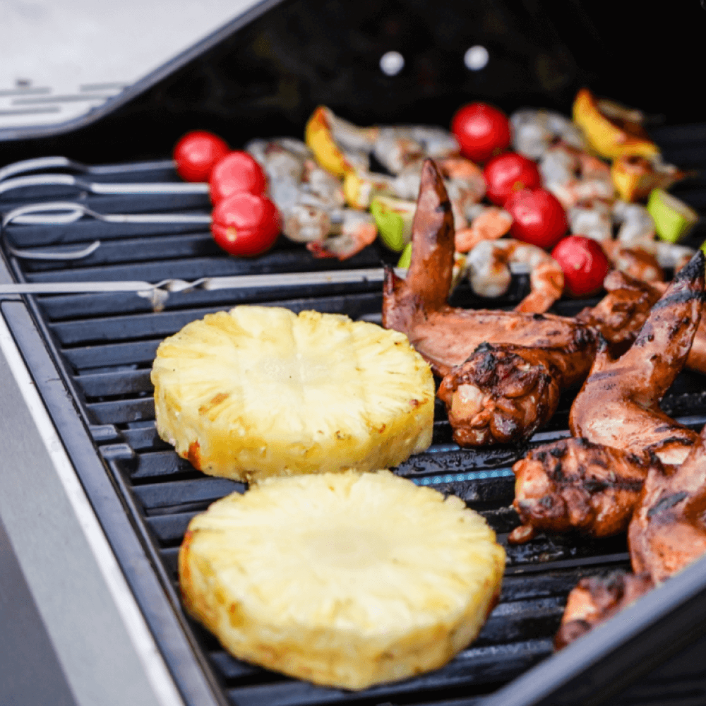 Monument Grills Mesa 200S - Foldable Stainless Gas Grill - M200S - by Monument Grills | Buy at Agent BBQ