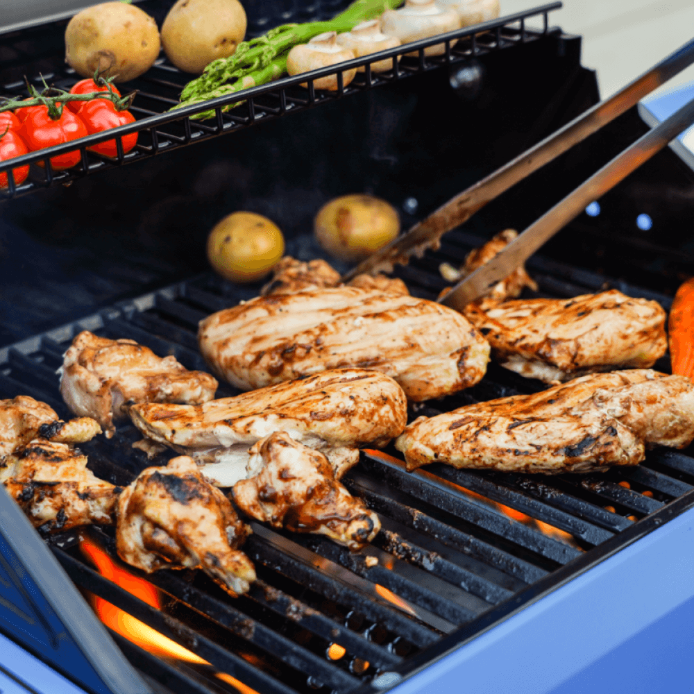 Monument Grills Mesa 200S - Foldable Stainless Gas Grill - M200S - by Monument Grills | Buy at Agent BBQ