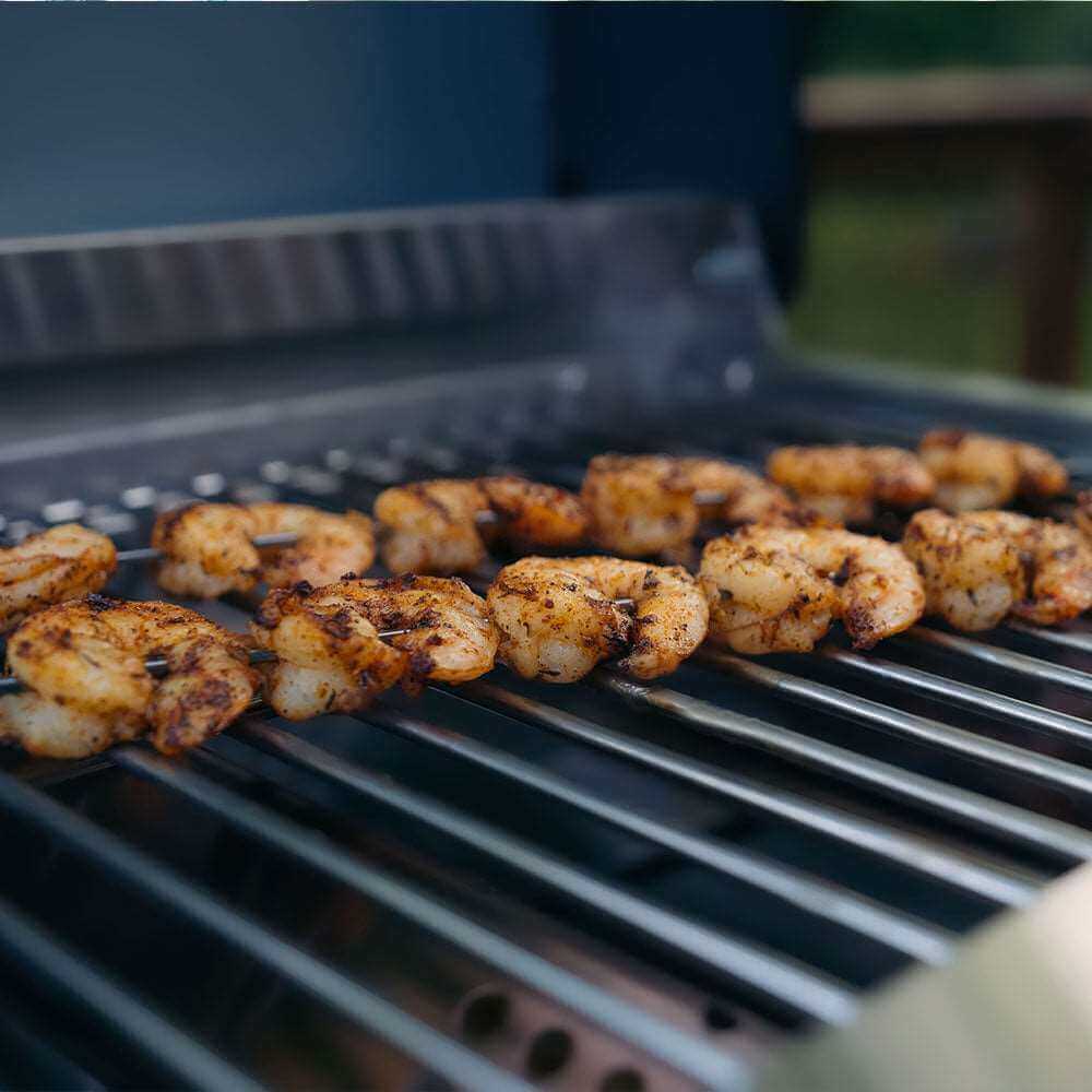 Monument Grills - Stainless Tabletop Propane Gas Grill - G22 - by Monument Grills | Buy at Agent BBQ