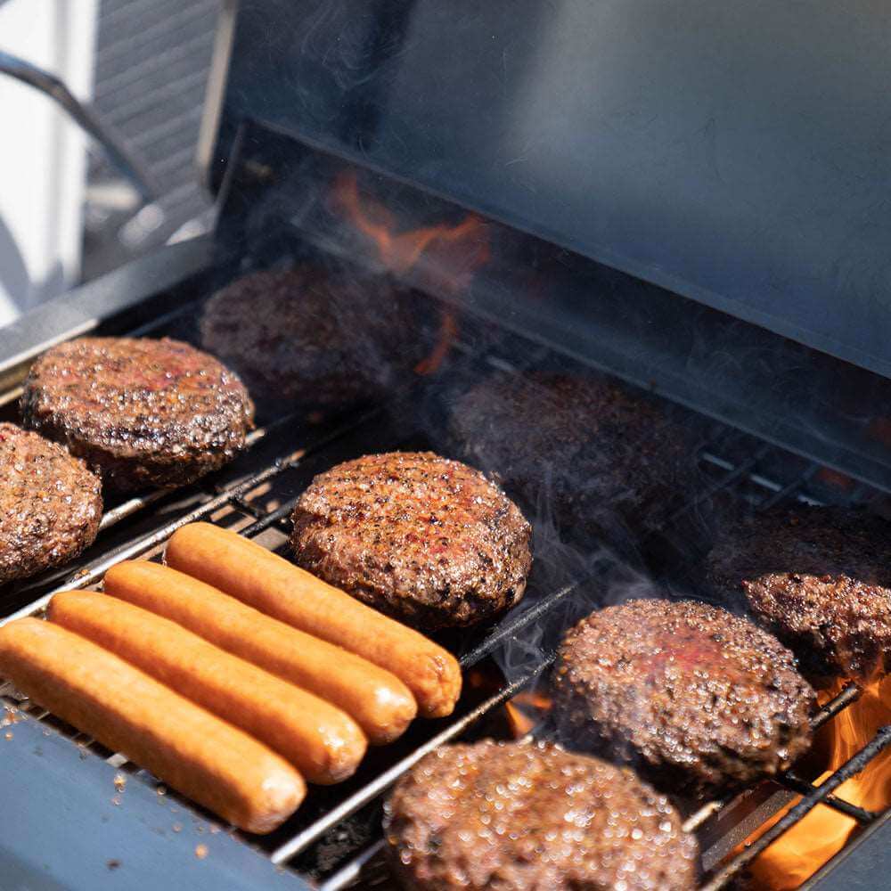 Monument Grills - Stainless Tabletop Propane Gas Grill - G22 - by Monument Grills | Buy at Agent BBQ