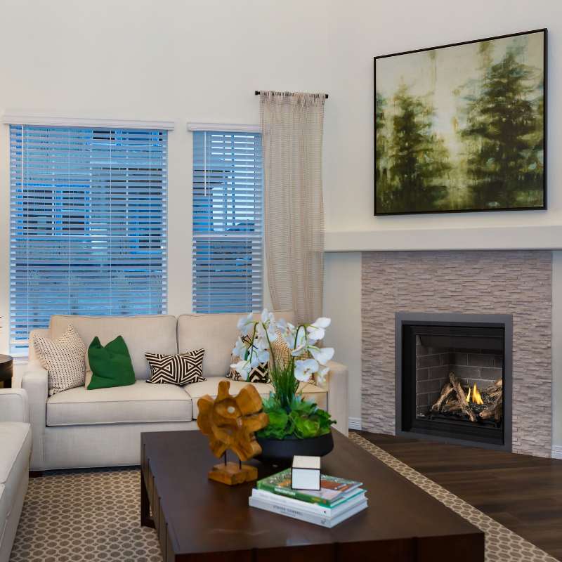 Napoleon Altitude 36" Direct Vent Gas Fireplace | A36 - by Napoleon | Buy at Agent BBQ