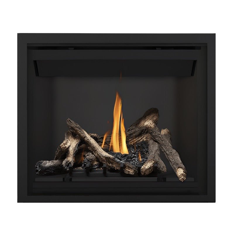 Napoleon Altitude 42" Direct Vent Gas Fireplace | A42 - by Napoleon | Buy at Agent BBQ