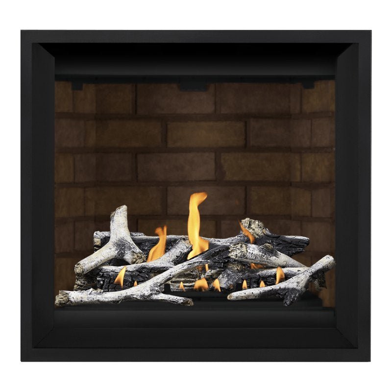 Napoleon Altitude X 36" Direct Vent Gas Fireplace | AX36 - 1 - by Napoleon | Buy at Agent BBQ