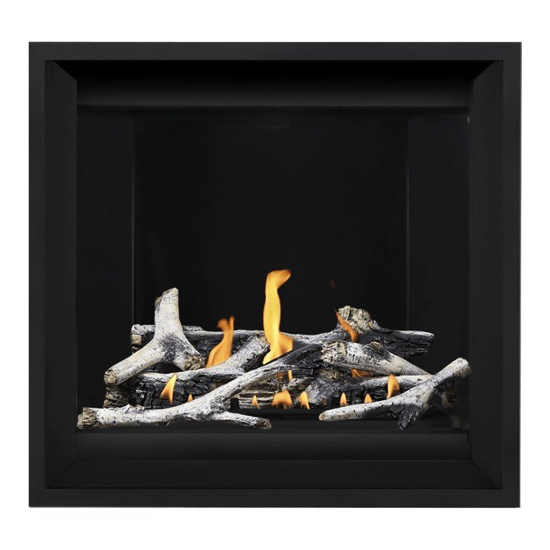 Napoleon Altitude X 36" Direct Vent Gas Fireplace | AX36 - 1 - by Napoleon | Buy at Agent BBQ