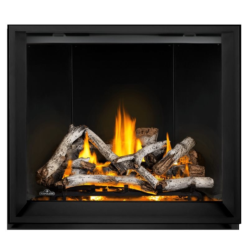 Napoleon Elevation X 42" Direct Vent Gas Fireplace | EX42 - by Napoleon | Buy at Agent BBQ