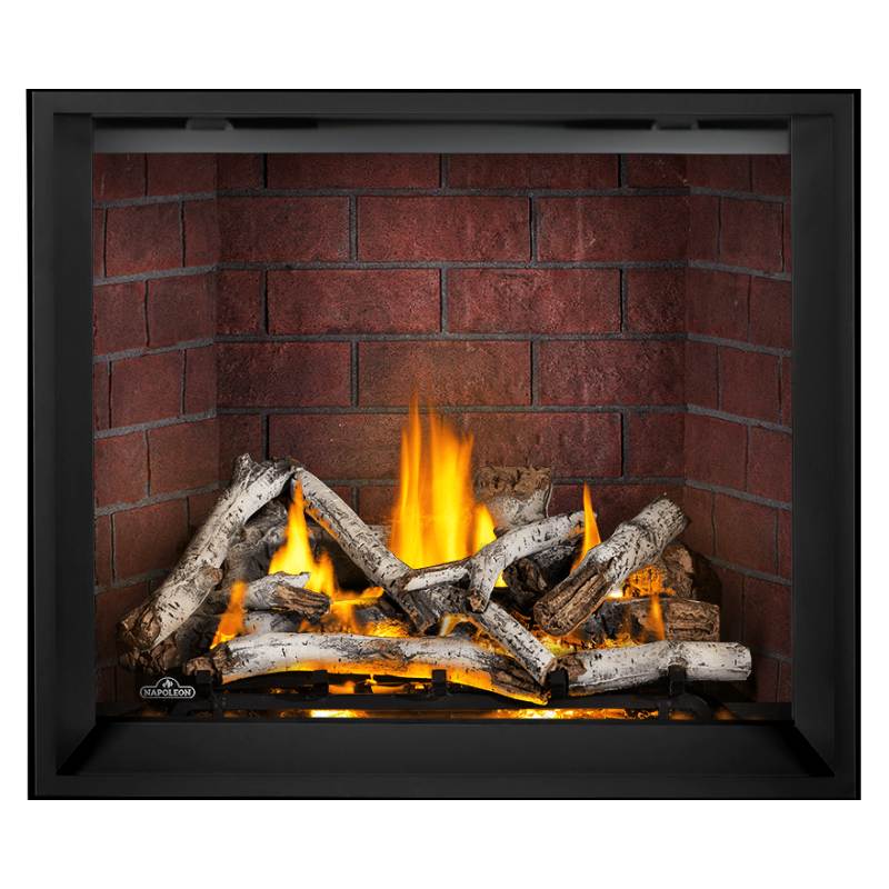 Napoleon Elevation X 42" Direct Vent Gas Fireplace | EX42 - by Napoleon | Buy at Agent BBQ