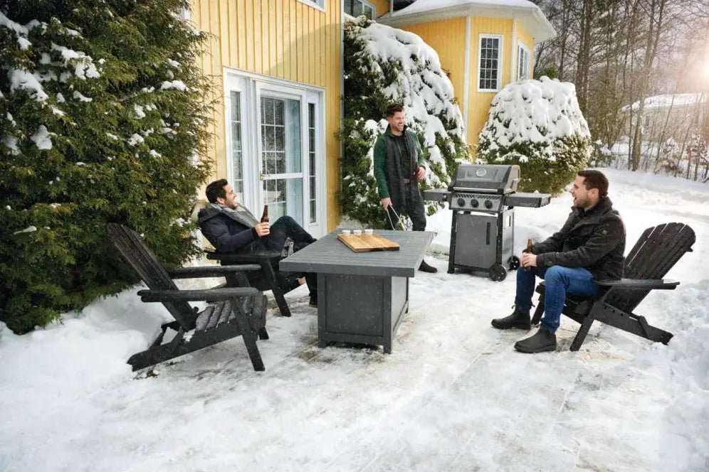Napoleon Freestyle 365 - F365DPGT - Outdoor Grills by Napoleon | Buy at Agent BBQ