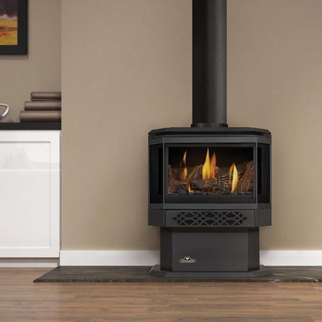 Napoleon Haliburton Direct Vent Gas Stove - Gas Stove by Napoleon | Buy at Agent BBQ