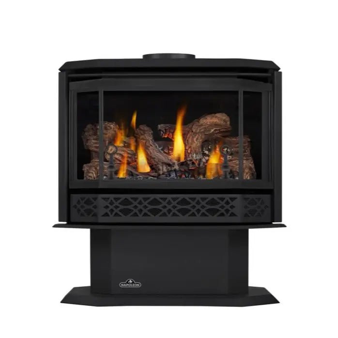 Napoleon Havelock Direct Vent Gas Stove - Gas Stove by Napoleon | Buy at Agent BBQ