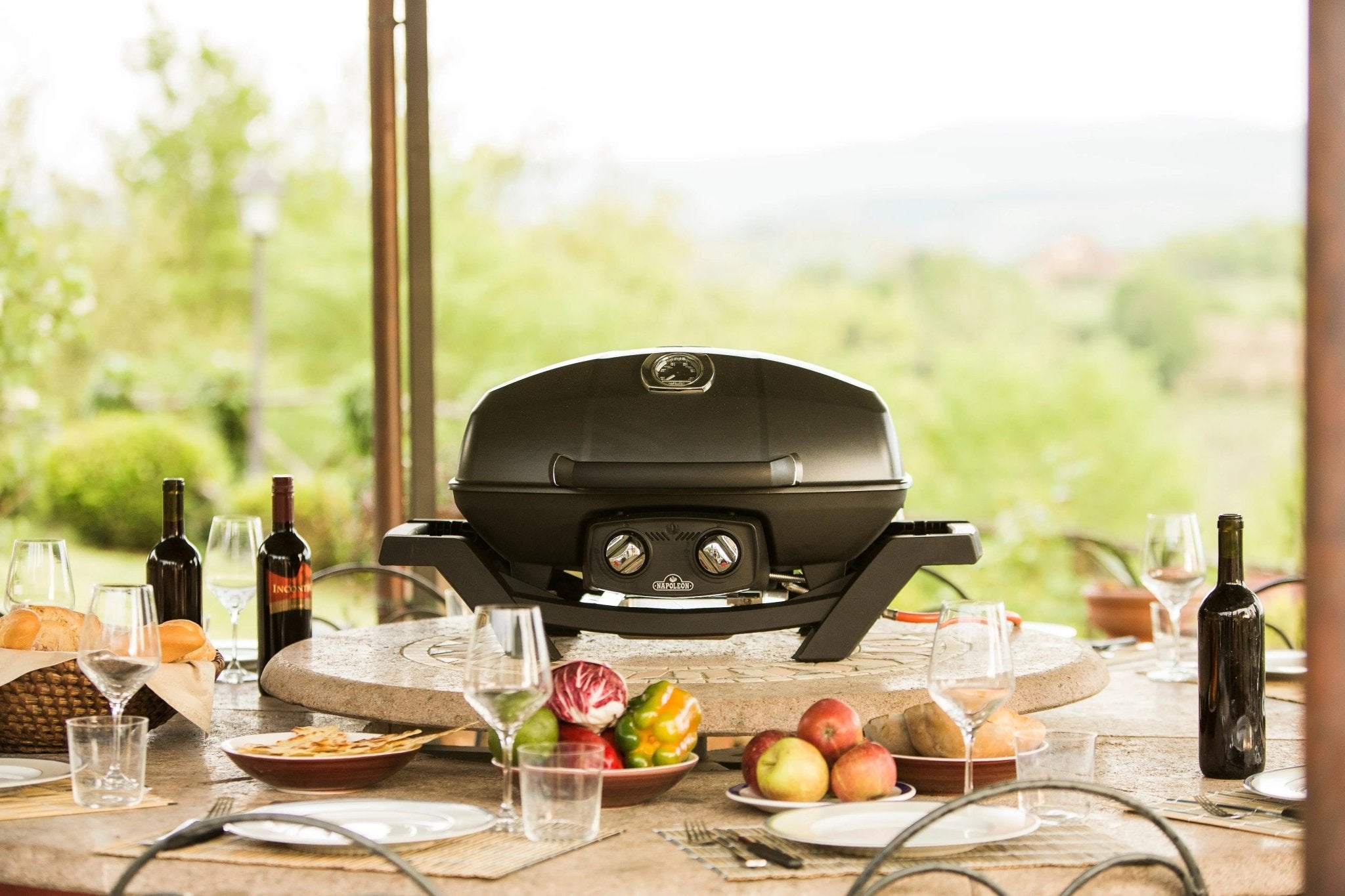 Napoleon TravelQ PRO 285 Portable Gas Grill (Black) - PRO285 - BK - Gas Grills by Napoleon | Buy at Agent BBQ