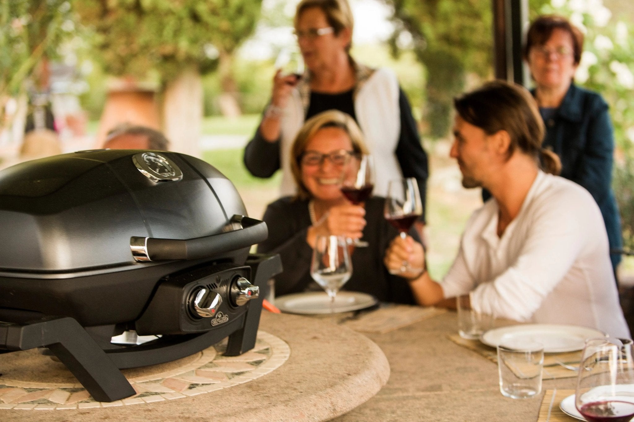 Napoleon TravelQ PRO 285 Portable Gas Grill (Black) - PRO285 - BK - Gas Grills by Napoleon | Buy at Agent BBQ