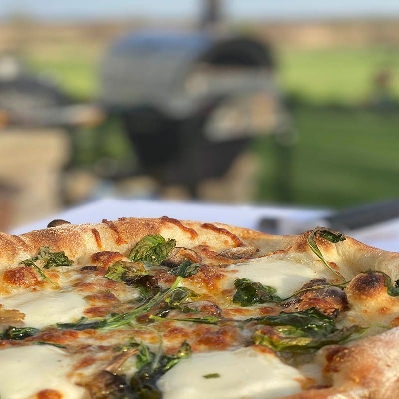 WPPO Karma Professional 42 Inch Stainless Steel Wood Fired Pizza Oven - WKK - 03S - 304SS - by WPPO | Buy at Agent BBQ